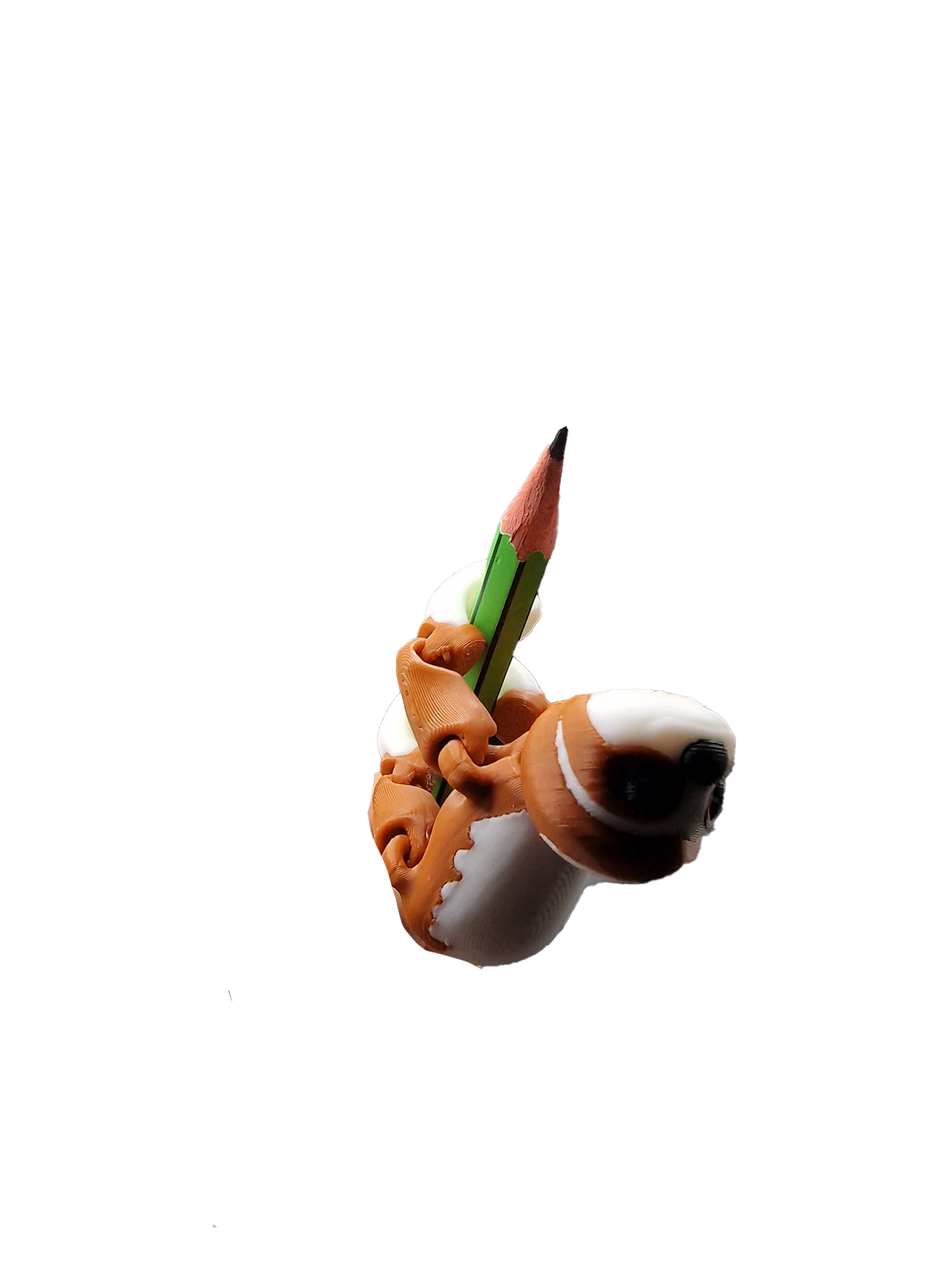 Articulated 3D Printed Slinky Sloth – Flexi Fidget Toy